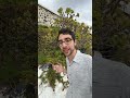 Greece plants that also grow in California