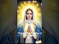 Hail Holy Queen Mother Of Mary #prayer #mary #mothermary #hailmary #shortsfeed #shorts