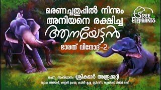 മനുഷ്യർ നിസ്സഹായരായപ്പോൾ അവസാനം അവൻ കളത്തിൽ ഇറങ്ങി....! 39 minutes of Goosebumps