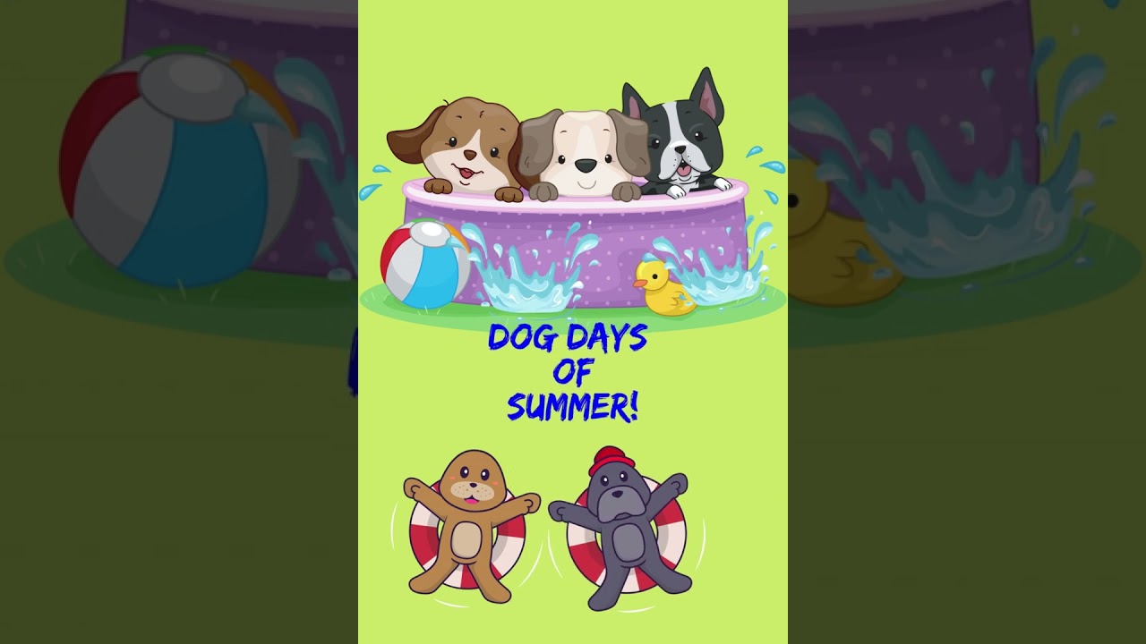 Foldable and Collapsible Dog Pools