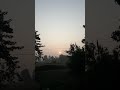 Nature video#naturelovers #youtubeshorts #nature #lifeisbutadream #villagelife