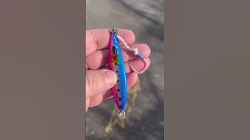 Nomad Design Gypsea Jigs are perfect for your fishing adventures. It’s just a solid jig.