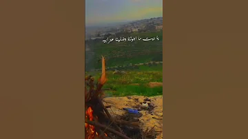 يا ريت ما اجوزنا وضلينا عزابيه 