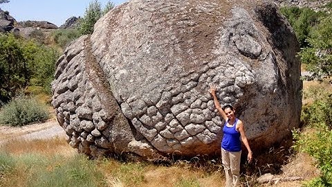 Giant Flood Giant Brains and body parts but Few Bones Why