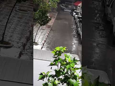 اللهم إجعله غيثا نافعا الجزائر اشتراك مطر غيث الخير 