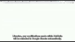NetSuite to Google Sheets Integration