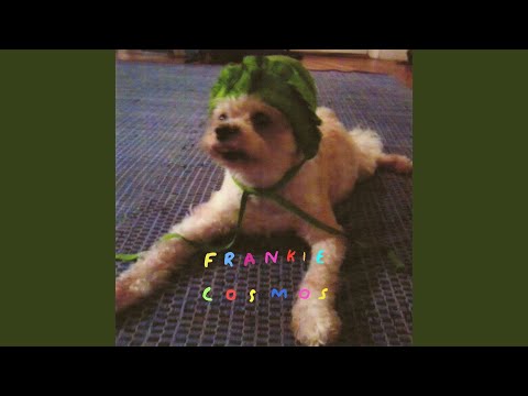 Dancing In The Public Eye - Frankie Cosmos