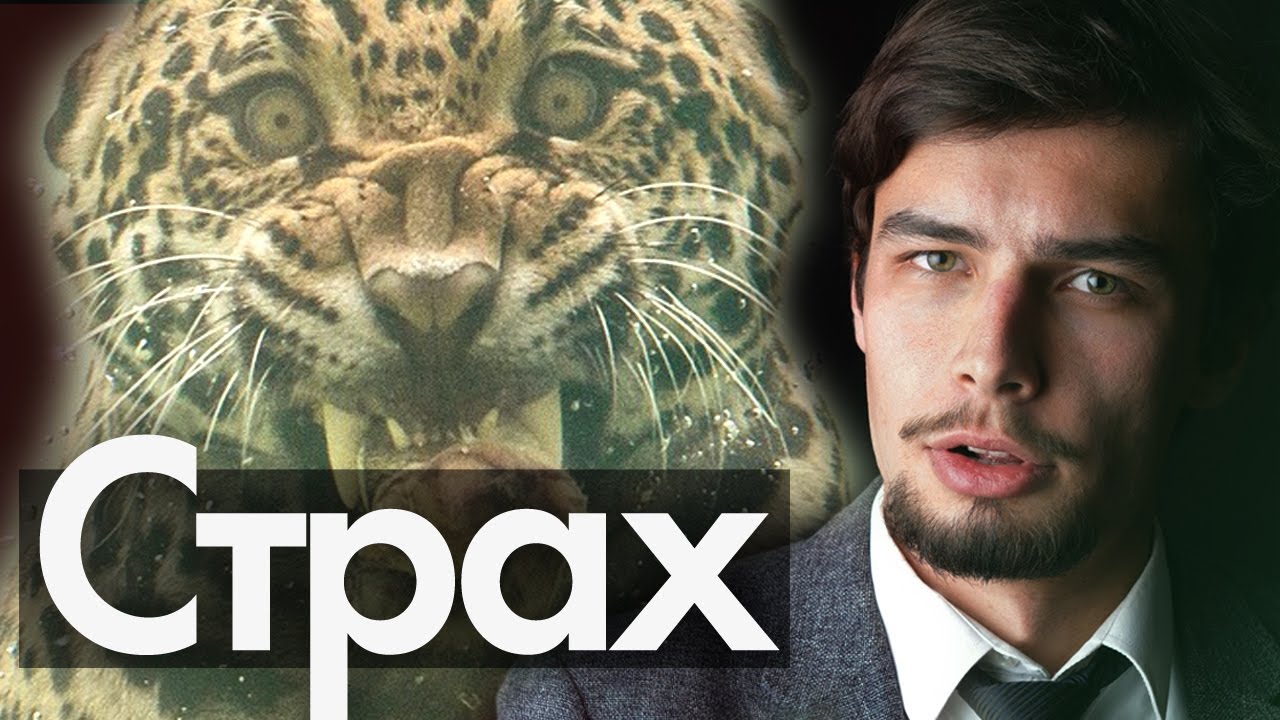 Как избавиться от страха и тревоги Как победить страх Как перестать ...