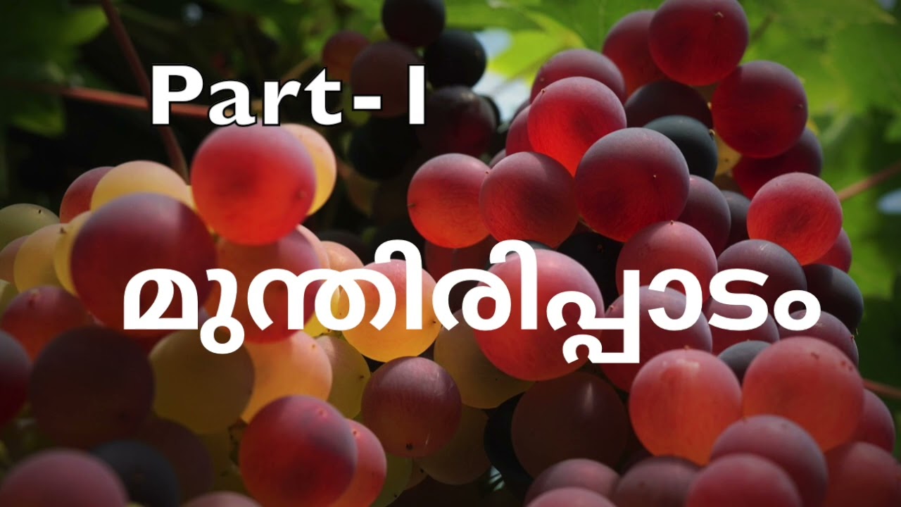മുന്തിരിപ്പാടം | ജോയ്‌സി | അദ്ധ്യായം 1-4 | Part-1 | Novel | നോവൽ | Malayalam Audiobook
