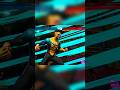 Invincible Combo - Invincible VS