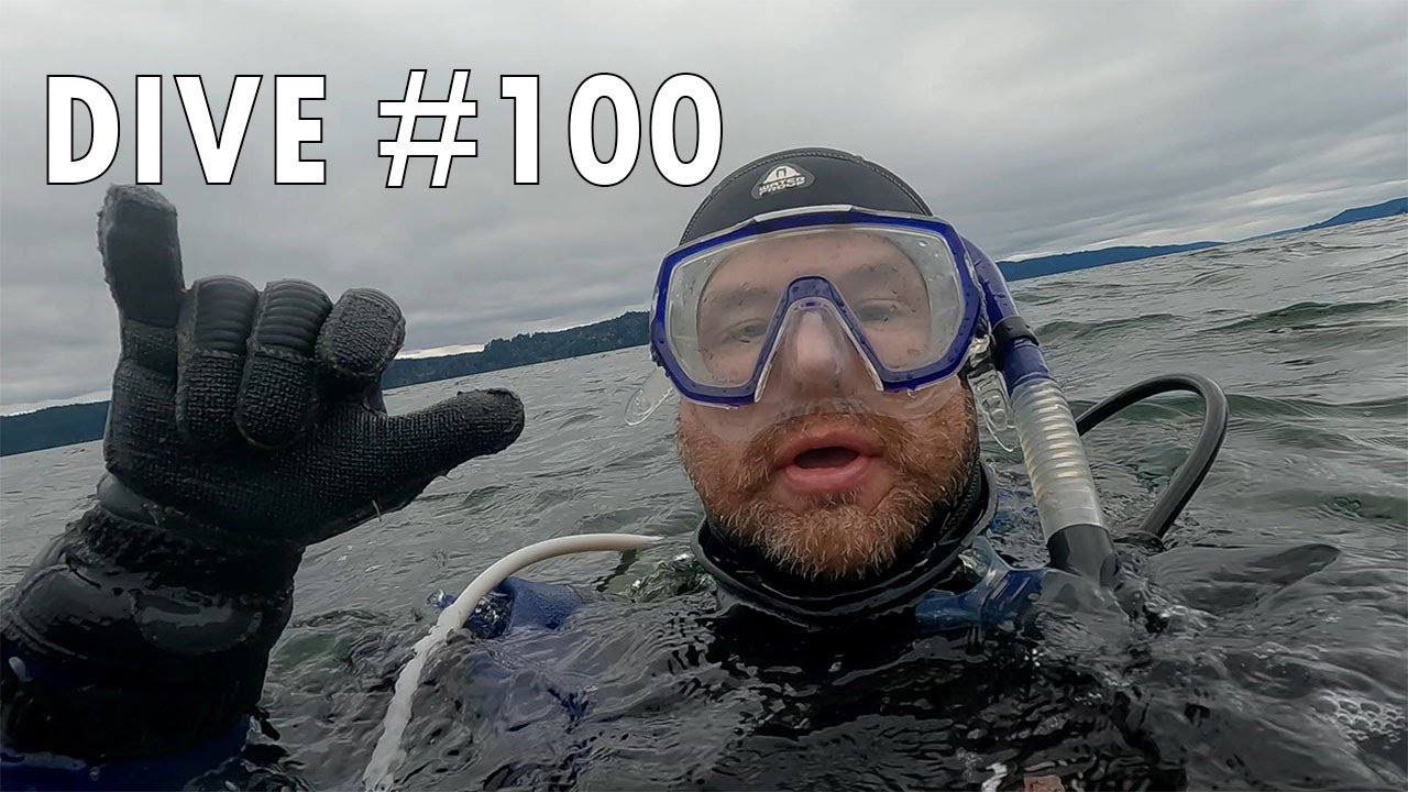 100th Scuba Dive (No Shenanigans) Fulton Creek Hood Canal YouTube