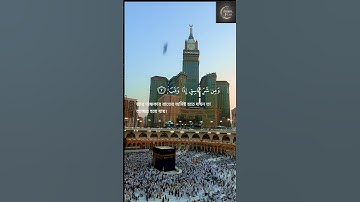 113( সূরা আল-ফালাক سورة الفلق নিশিভোর) Surah Al Falaq | #surah #surahalfalaq #islam #islamic #vairal
