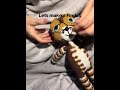 Crochet Cat Findus | Handmade Amigurumi Kitty | #shorts