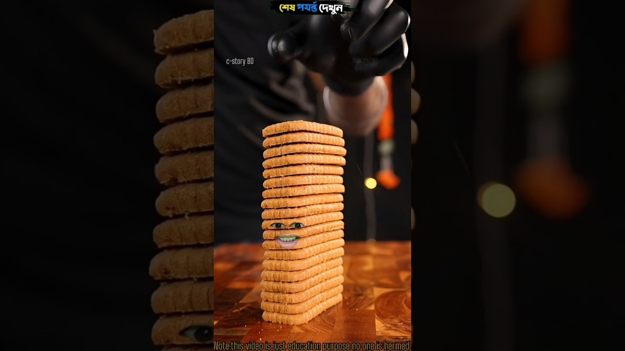 Viral Biscoff Cheese Cake😋🔥 