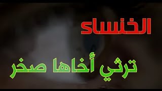 الخنساء في رثاء صخر،ضفر النتيفات