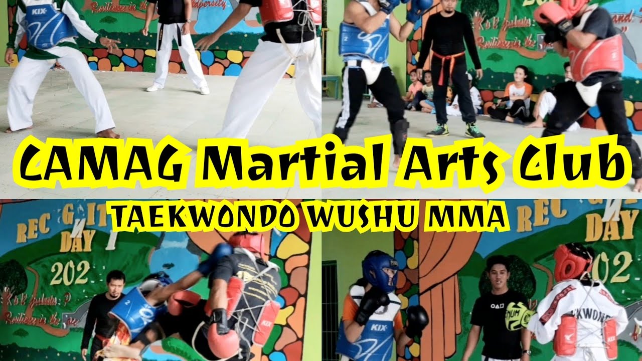 Learn Taekwondo Wushu MMA Sparring Part 2 CAMAG Martial Arts Club