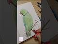 🦜 #art #pencildrawing #parrot