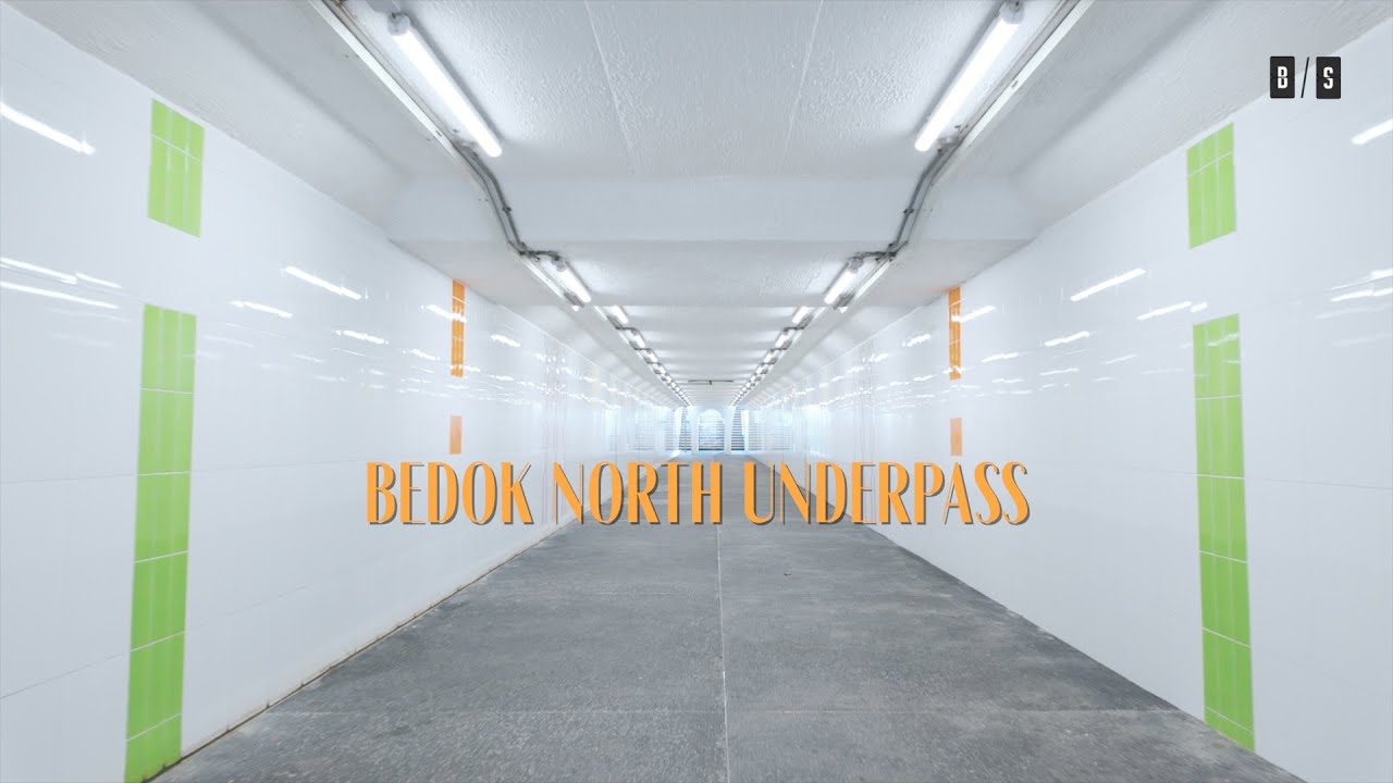 Bedok North Underpass
