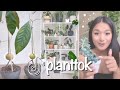 PlantTok shows you how not to kill your plants 🌿 TikTok Plant Compilation