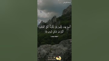تلاوة خاشعة | حوار سيدنا ابراهيم وأبيه آزر