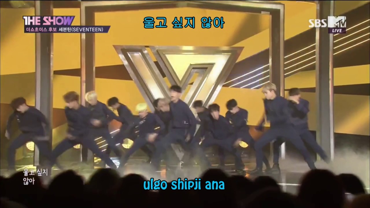 SEVENTEEN - Don’t Wanna Cry Fanchant