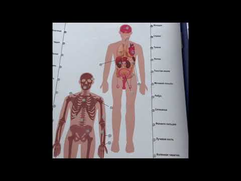Электровикторина размышляй-ка (как в детстве )артикул 03705