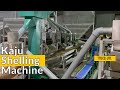 Kaju Shelling Machine in India: a video of the Top Kaju Shelling Machine working in India.