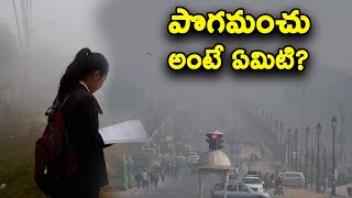 What is fog and Where Does Fog Come From? || T Talks