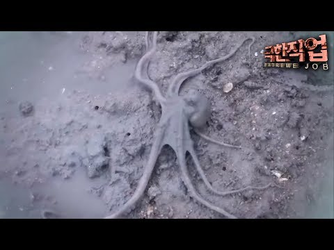 극한직업 - Extreme JOB_가을 보양식 = 낙지와 장어_#001