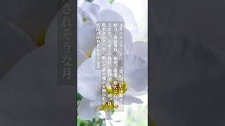 この1ヶ月の使い方がカギ 4月の過ごし方アドバイス。 #12星座占い  #占い
