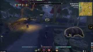 ESO 1.6 PTS Bug to Stealth Critical Chance & Dmg