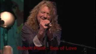 Robert Plant   Sea of Love