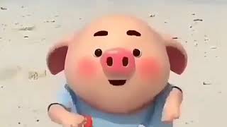 Babi nyanyi