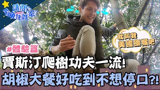 「美國猴」賈斯汀爬功一流！胡椒大餐好吃到不想停口？！【請問今晚住誰家】挑戰篇 20200603 EP171 Part1 竇智孔 阿布 舞陽 賈斯汀