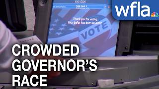 Voters weigh in on crowded governor’s race during primary