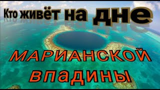 Ужасные обитатели Марианской впадины