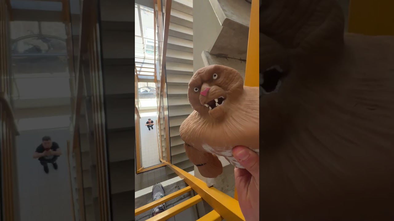 GUARDATE COSA HO TROVATO!! 🤗 