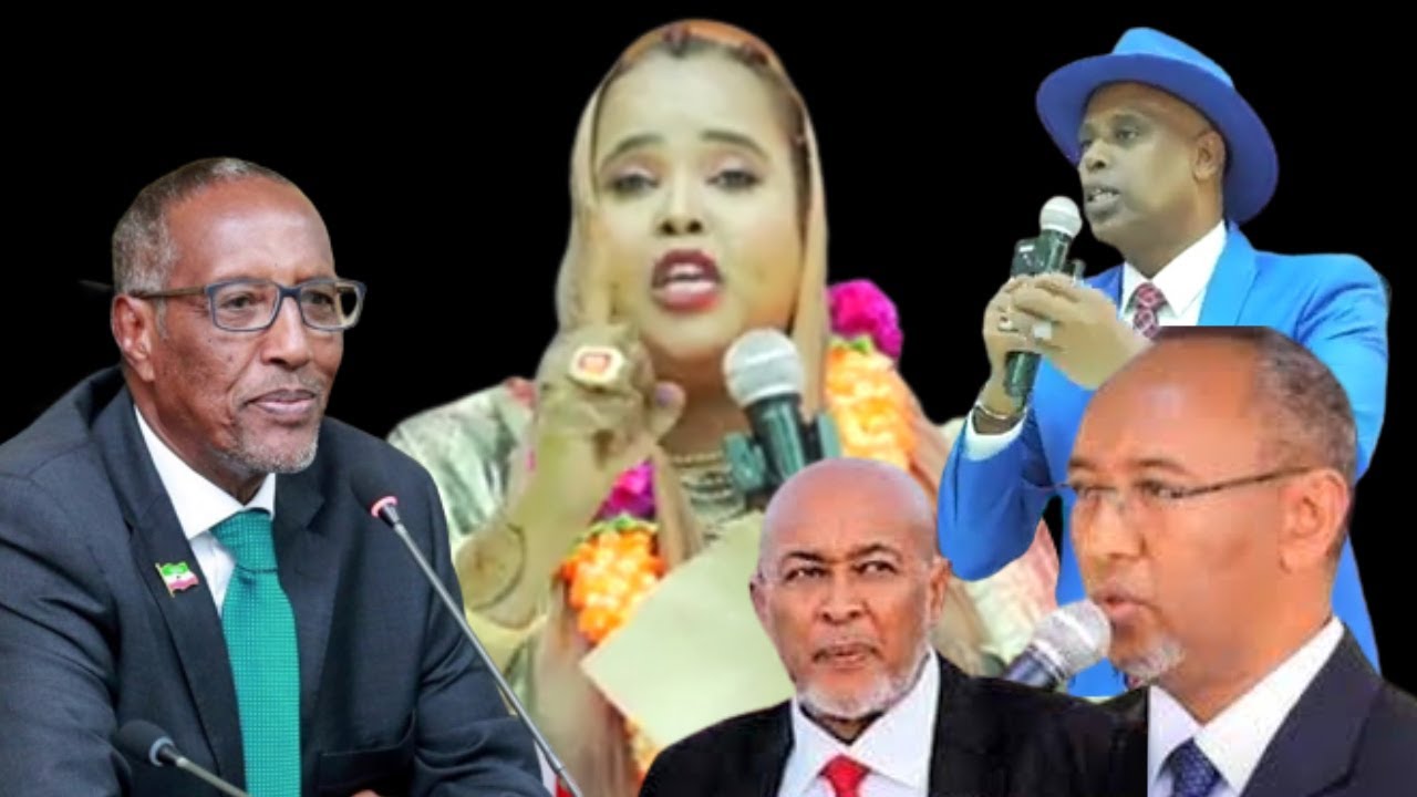 Сомалиленд Абдирахман Сирро — обуза для нас, но мы его уничтожим (Женщины из диаспоры)