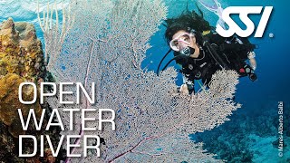 Open Water Diver Training Course - Delight Diving Center