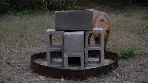 Cinder block rocket stove with 2 burners