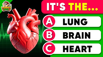 Can You Pass This Human Body Quiz? 🧍🧠💪 General Knowledge Quiz