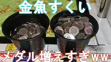 تحميل メダルゲーム金魚すくい