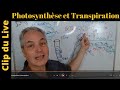 Quelle est la relation entre la photosynthse et la transpiration  photosynthse vs transpiration