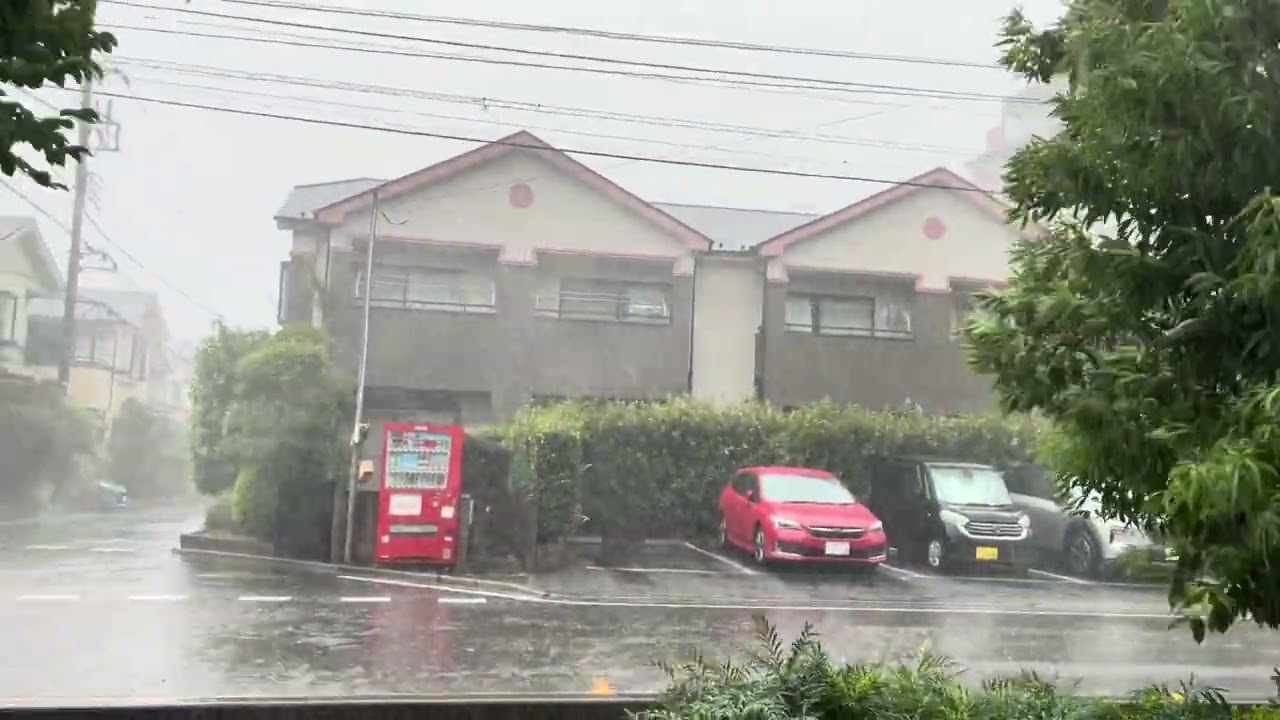 Abridged ASMR Japan Violent Thunderstorm Rain Walk 2025.08.08 Ambience Sound Sleep Meditate Tokyo