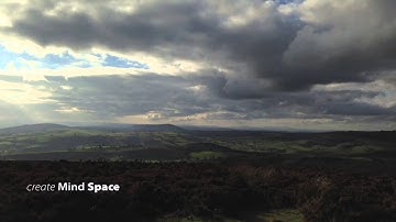 Panoramic Mind Space