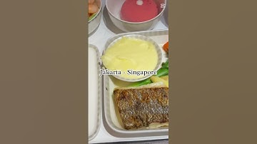 SQ959 (Jakarta to Singapore) #sq958 #businessclass #flight
