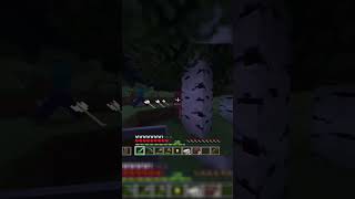 Minecraft Glitch When The Game Goes Haywire