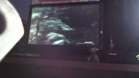 Skyrim - invincible little girl