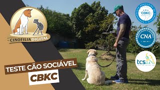 Teste Cão Sociável (TCS CBKC) | Cinofilia Digital by Cinofilia Digital 661 views 11 days ago 17 minutes