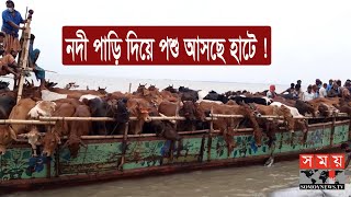 ক্রেতা সমাগম কম থাকায় আশানুরুপ দামে পশু বিক্রি করতে পারেননি খামারিরা | Cattle Haat | Somoy TV